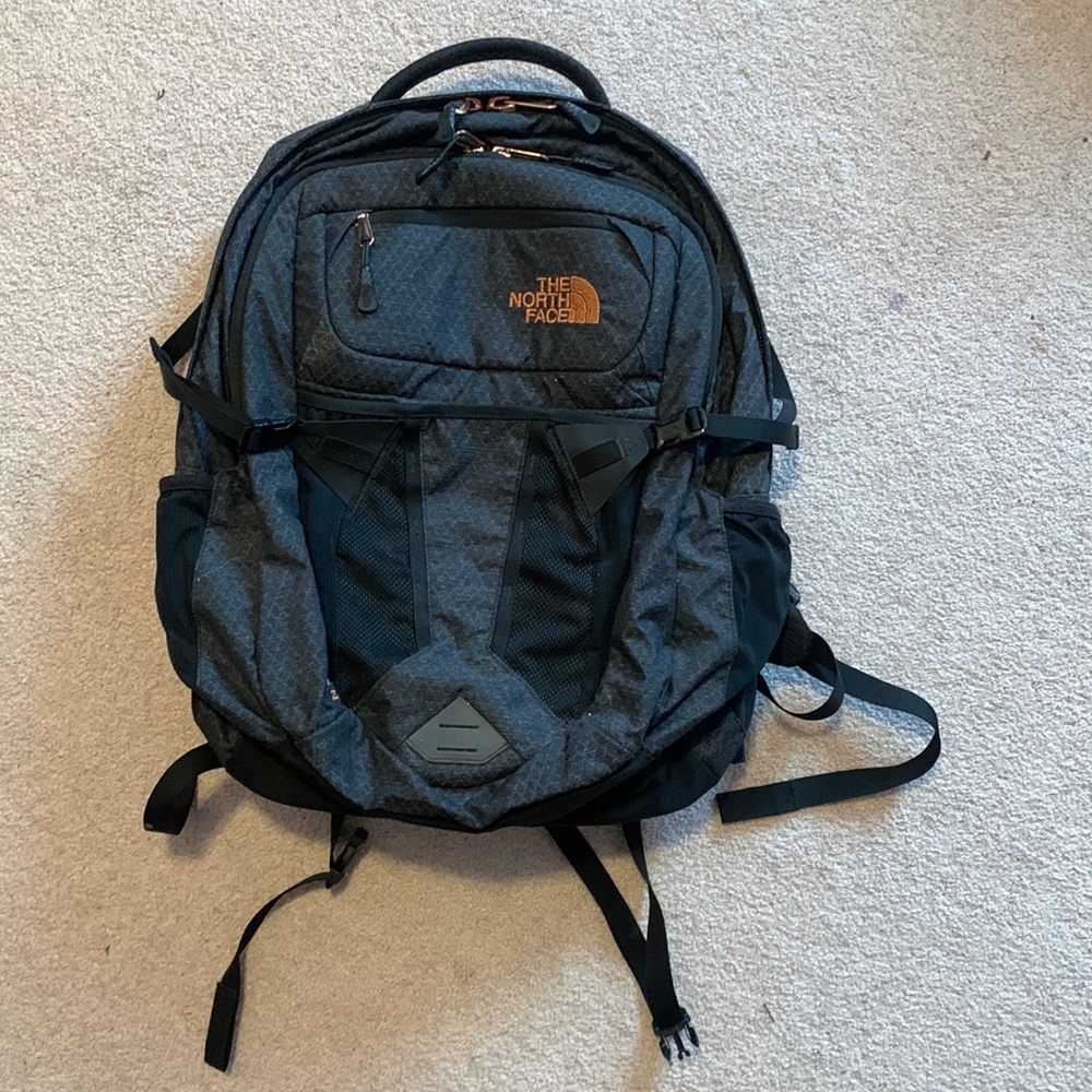 Gray and Pink North Face Backpack